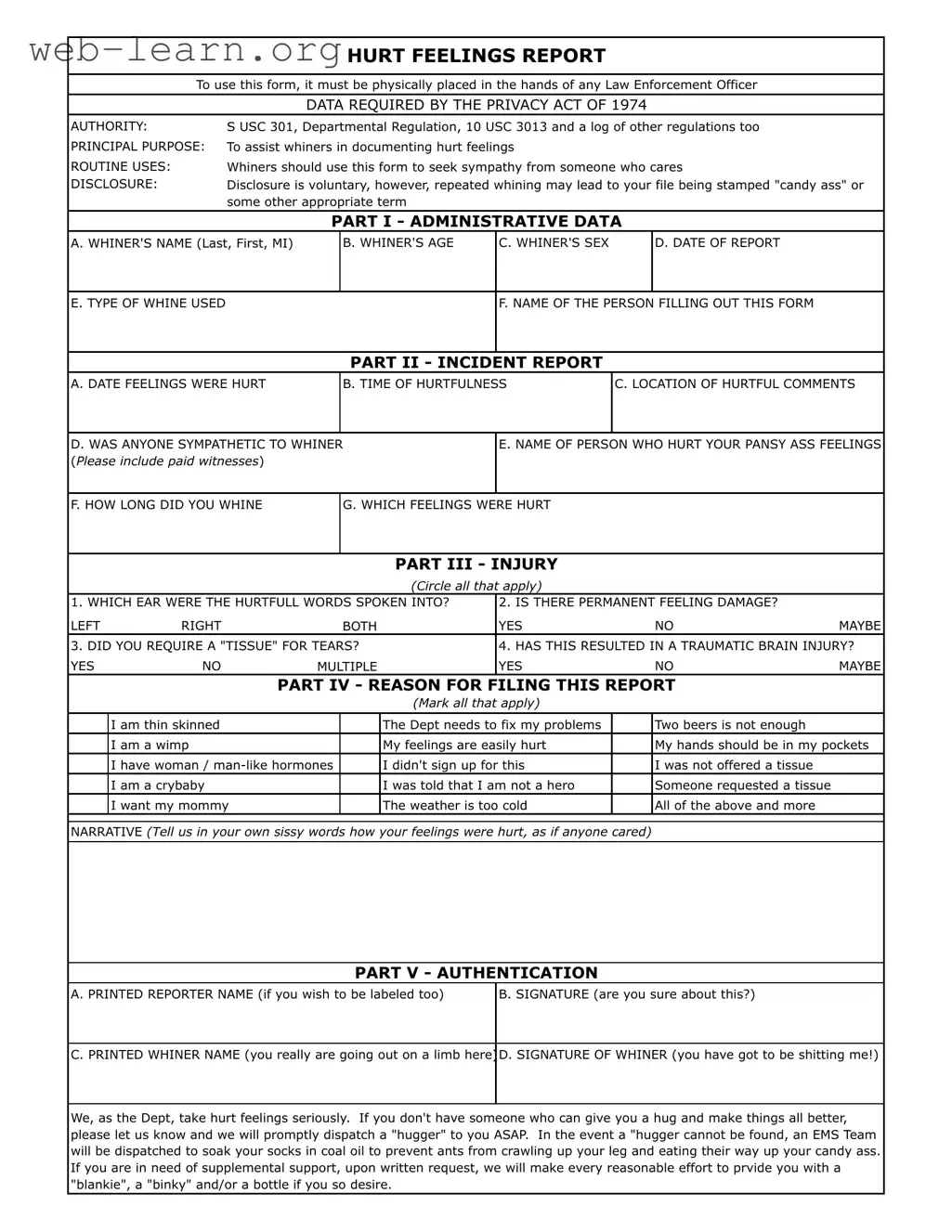 Blank Hurt Feelings Report Form