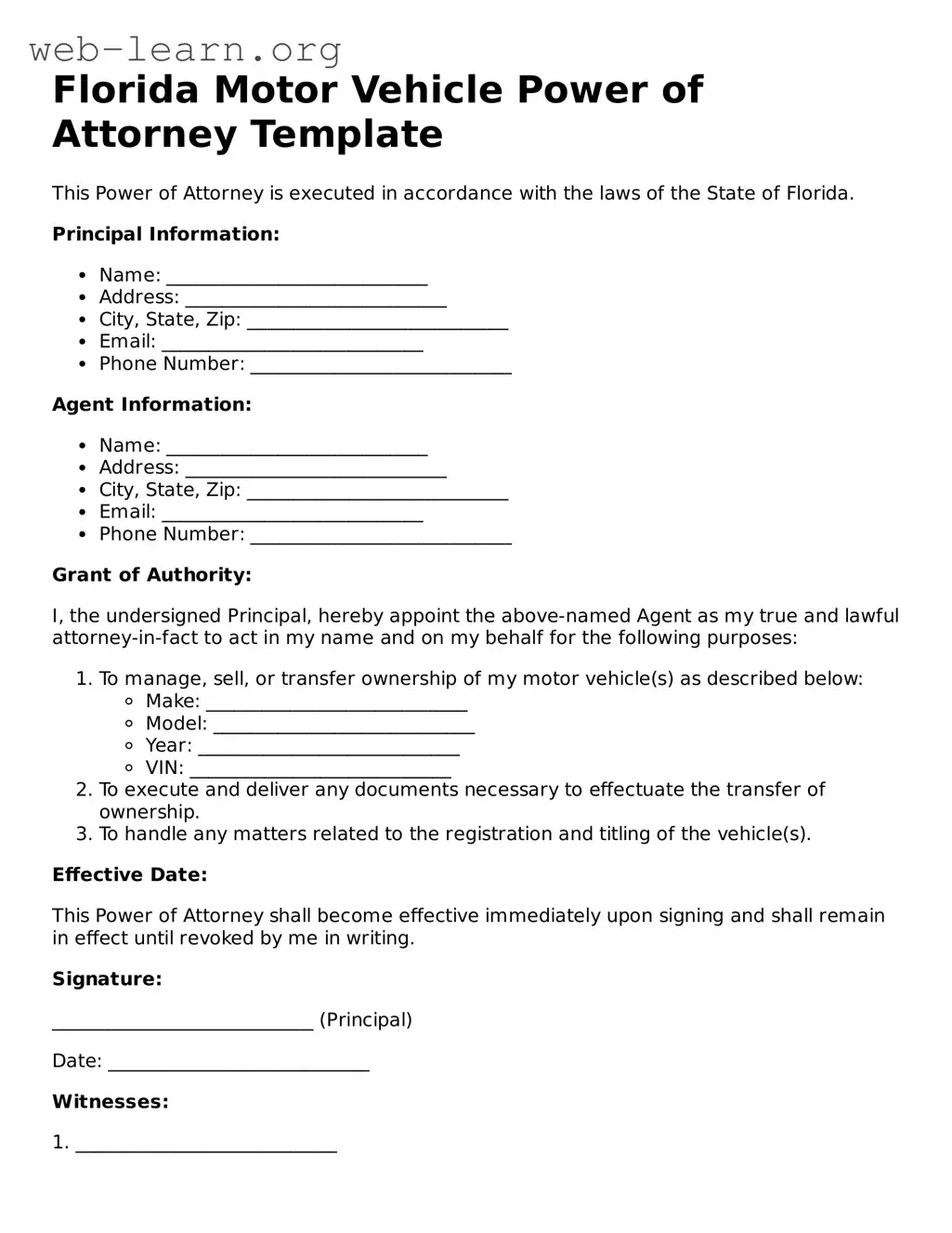 Attorney-Approved Motor Vehicle Power of Attorney Document for the State of Florida