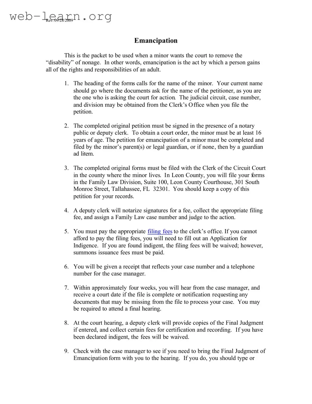 Blank Florida Petition Emancipation Form