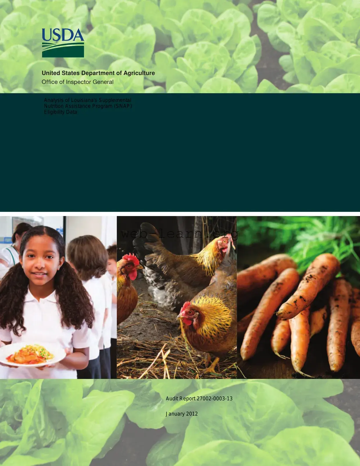 Blank Snap Louisiana Form